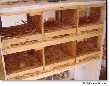Chicken Nesting Boxes — ByExample.com